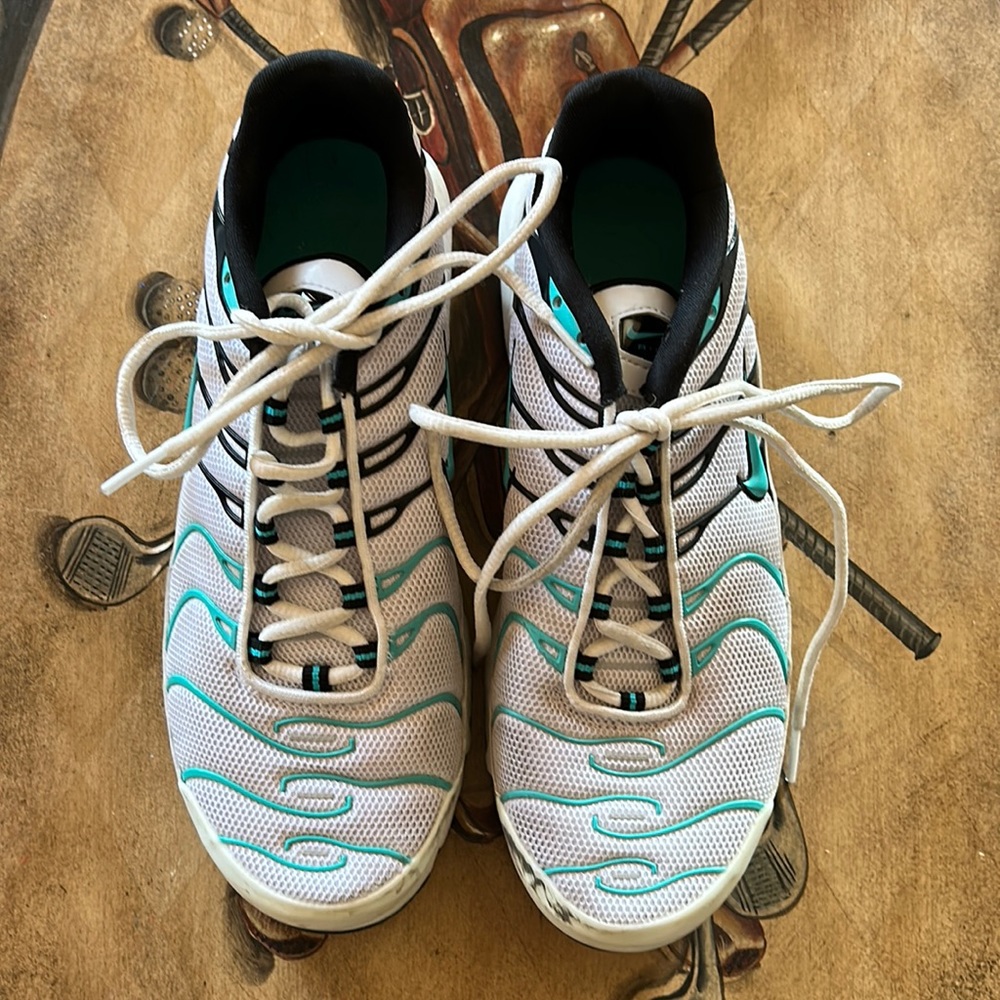 Nike air max plus shoes size 9